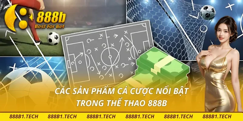Một số sản phẩm cá cược thể thao hấp dẫn tại nhà cái 888B