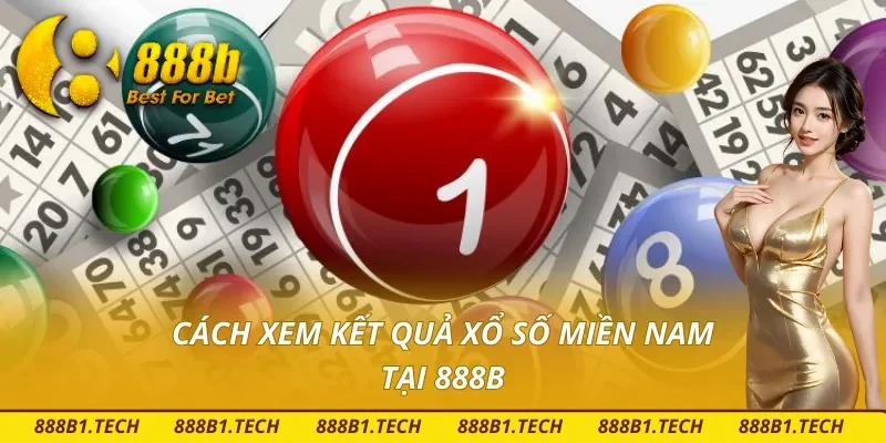 Hướng dẫn cách tra kết quả chuẩn xác tại 888B